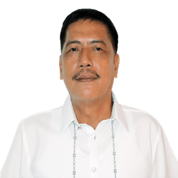 Councilor's Official Photo